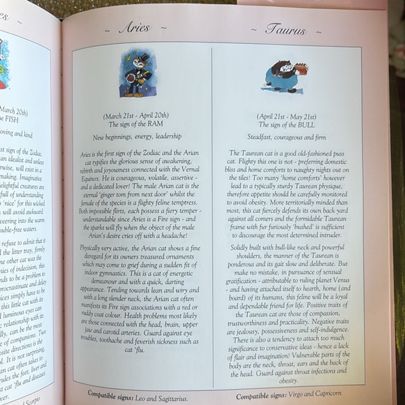 Cat Zodiac Calendar Schedule Picture Book - Picture 14 of 14